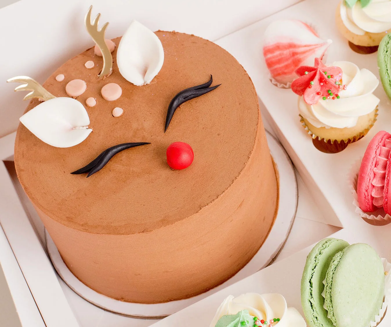 Cute Cake Pack - Mini Rudolph - Image 3